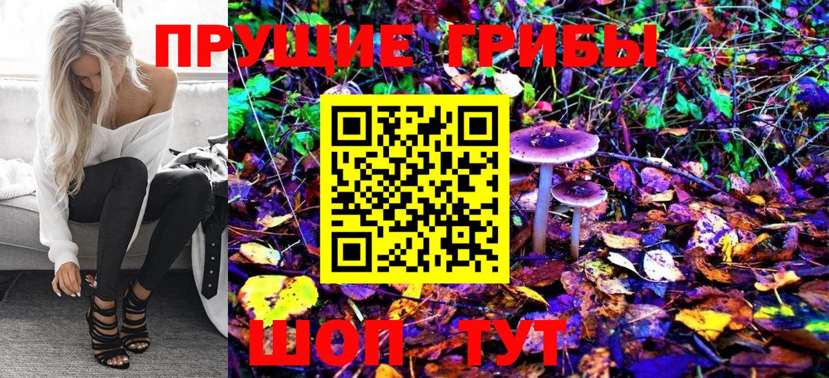 Вичуга  Псилоцибиновые грибы Magic Shrooms  Псилоцибиновые грибы Psilocybine cubensis  Вход с VPN 